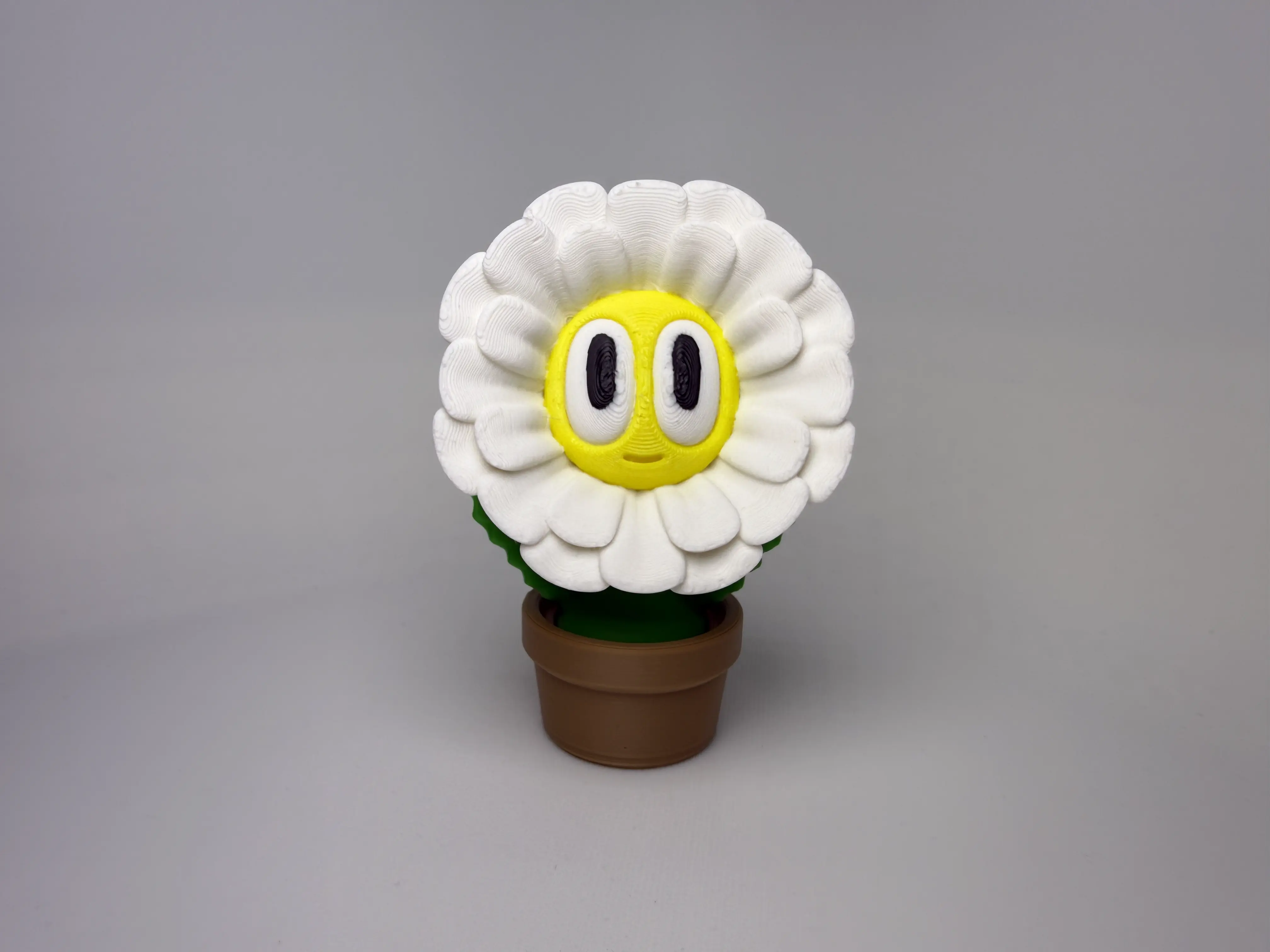 Gänseblümchen im Topf