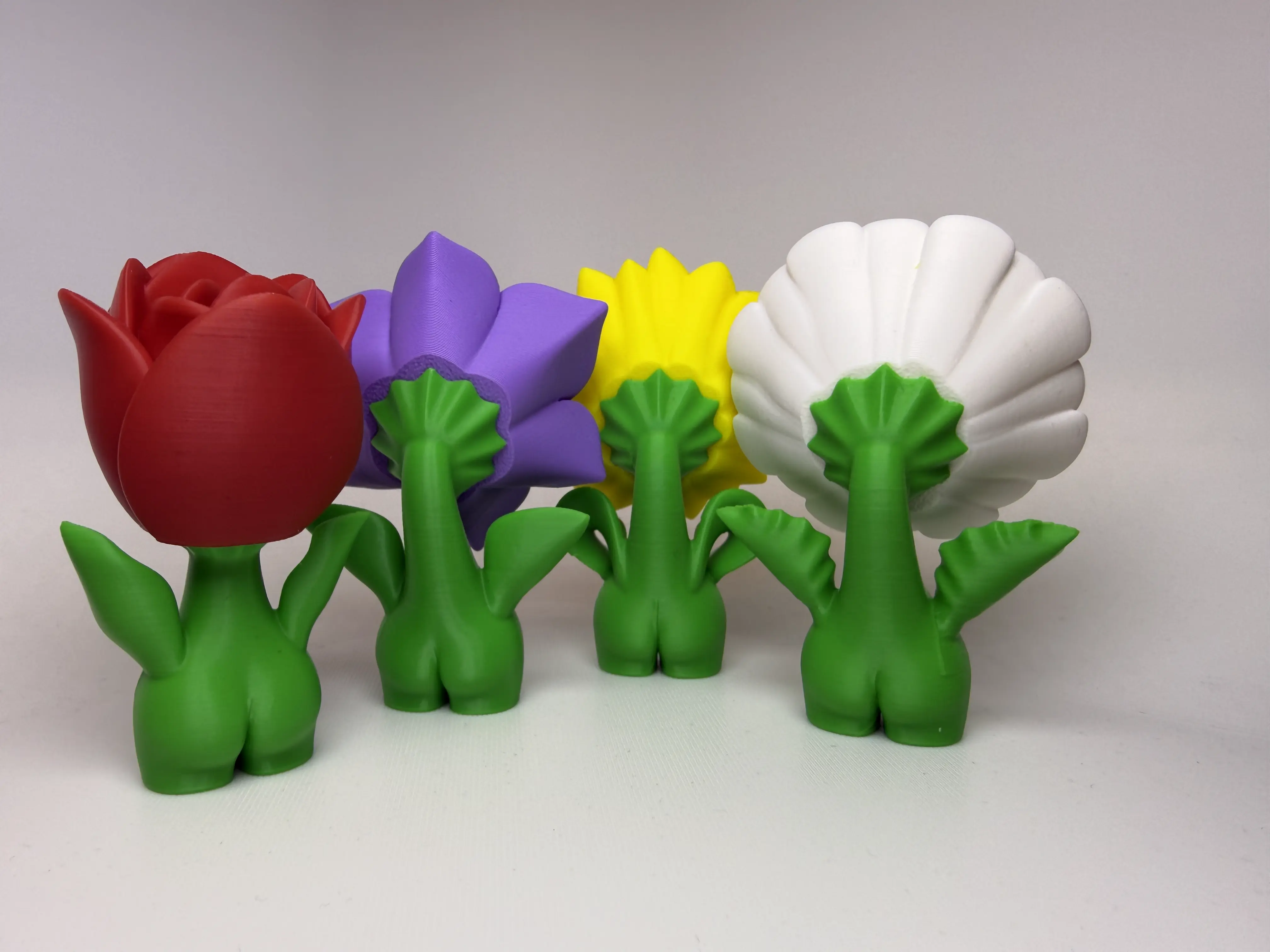 Alle Blumen Rückseite