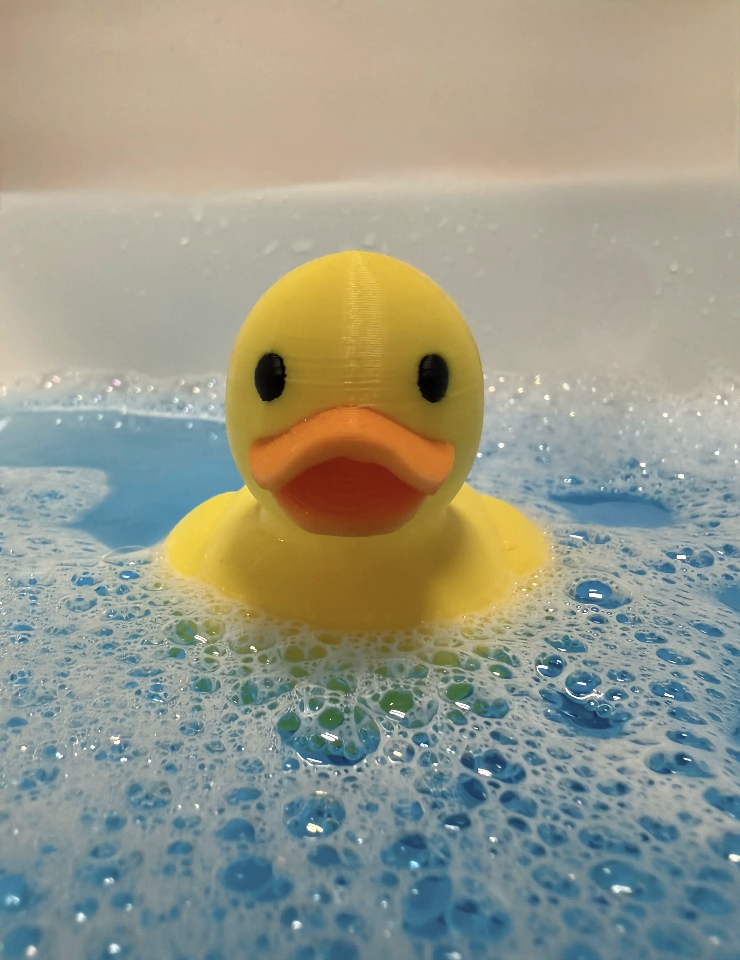Ente Schwimmend