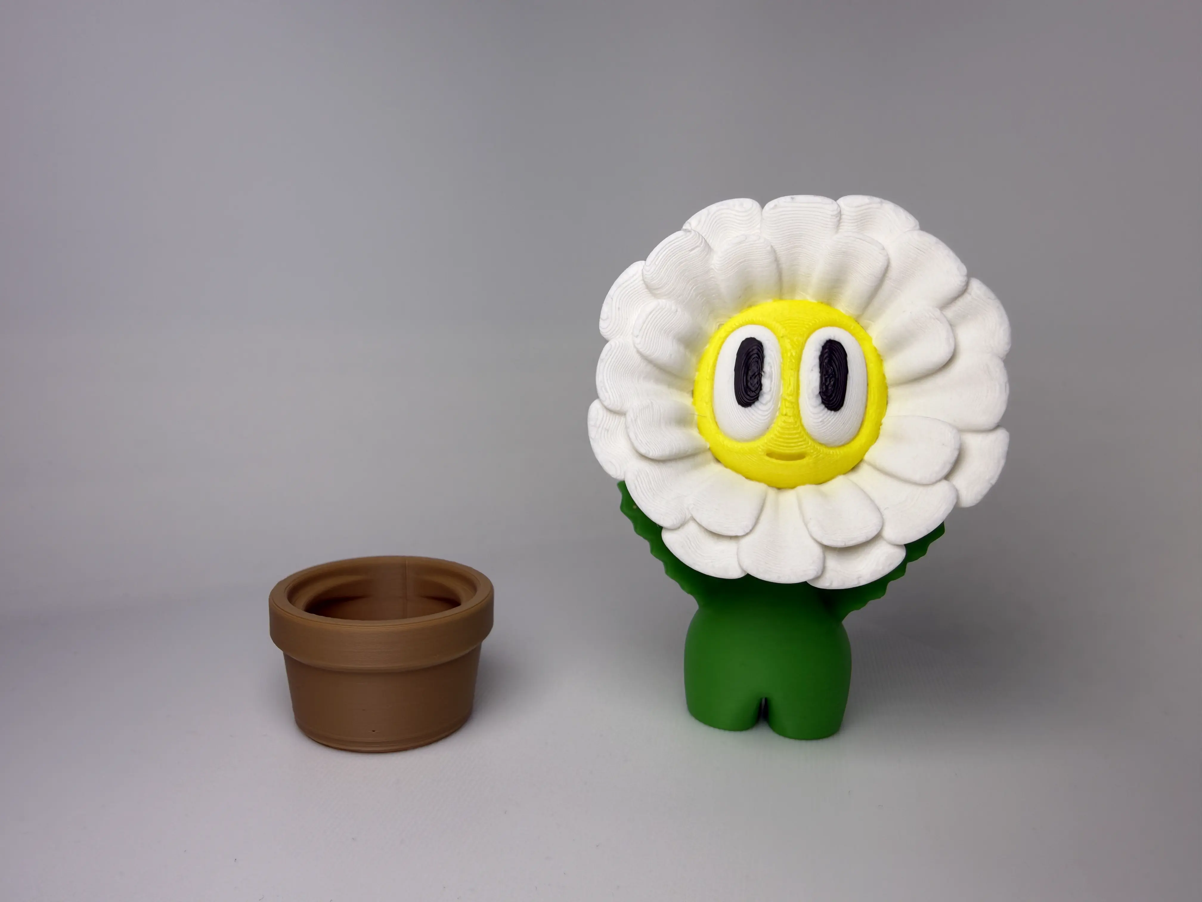 Gänseblümchen neben Topf